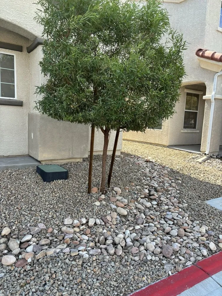 Affordable residential landscaping in Las Vegas, NV by JP Lawn Service