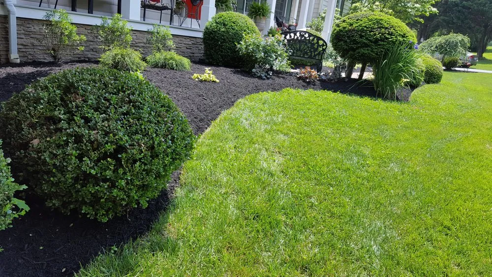 Professional lawn care service near you across Mount Airy, MD - JP Lawn Services