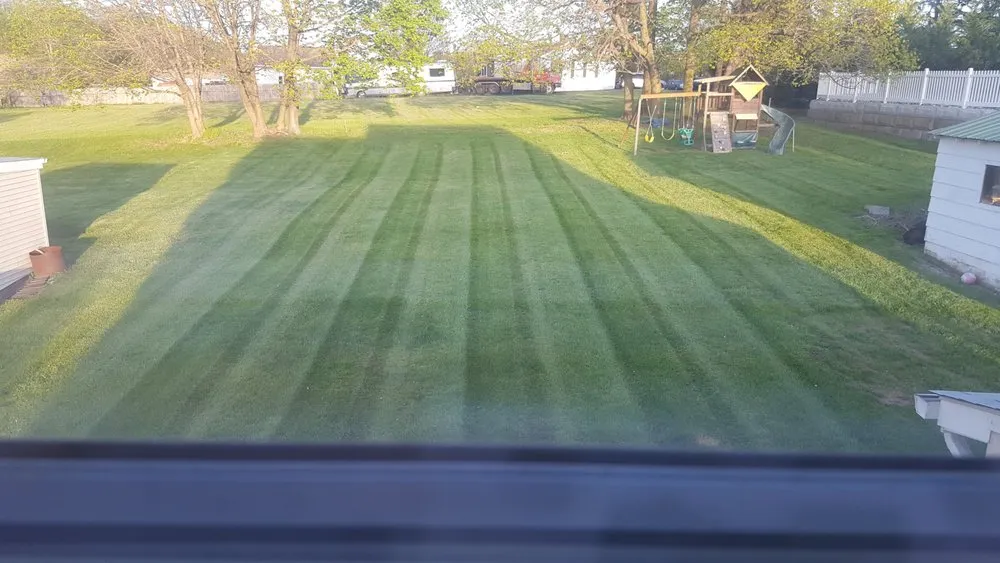 Affordable yard cleanup service experts serving Mount Airy, MD - JP Lawn Services