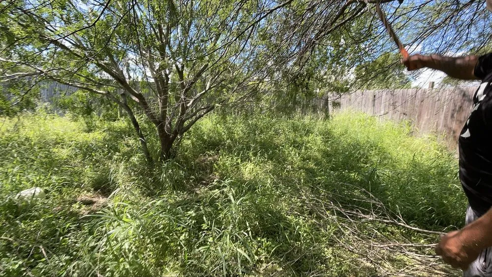 Local landscaping services experts serving Donna, TX - JP Lawncare