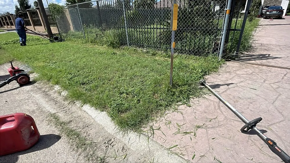 Reliable lawn mowing service in Donna, TX by JP Lawncare