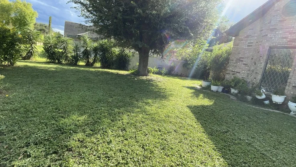 Reliable outdoor landscaping for beautiful yards in Donna, TX by JP Lawncare