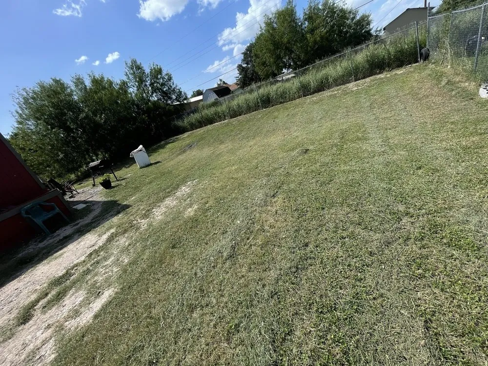 Affordable yard cleanup service near you in Donna, TX by JP Lawncare