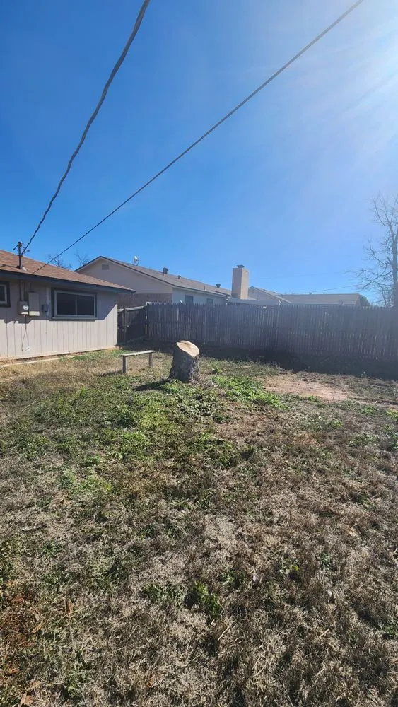 Expert yard cleanup service for residential properties in San Angelo, TX by JP Lonestar Landscaping