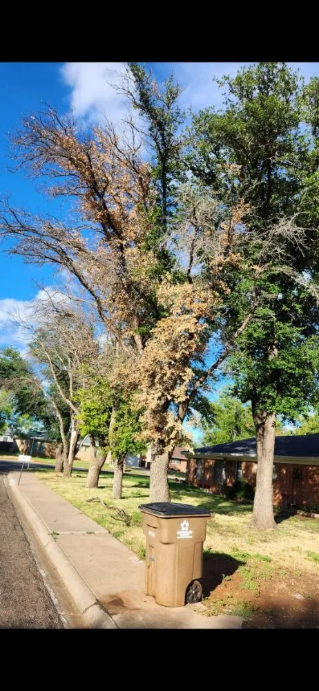 Custom residential landscaping in San Angelo, TX - JP Lonestar Landscaping