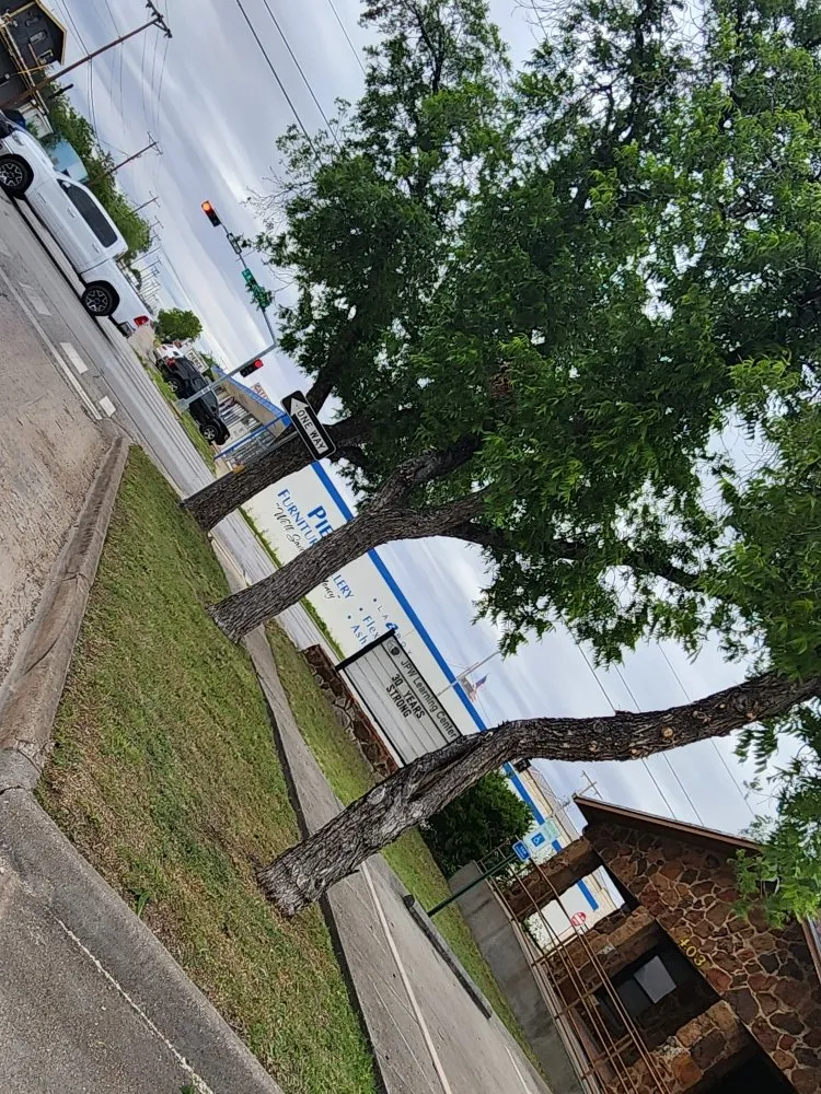 Expert landscaping services with custom design across San Angelo, TX - JP Lonestar Landscaping