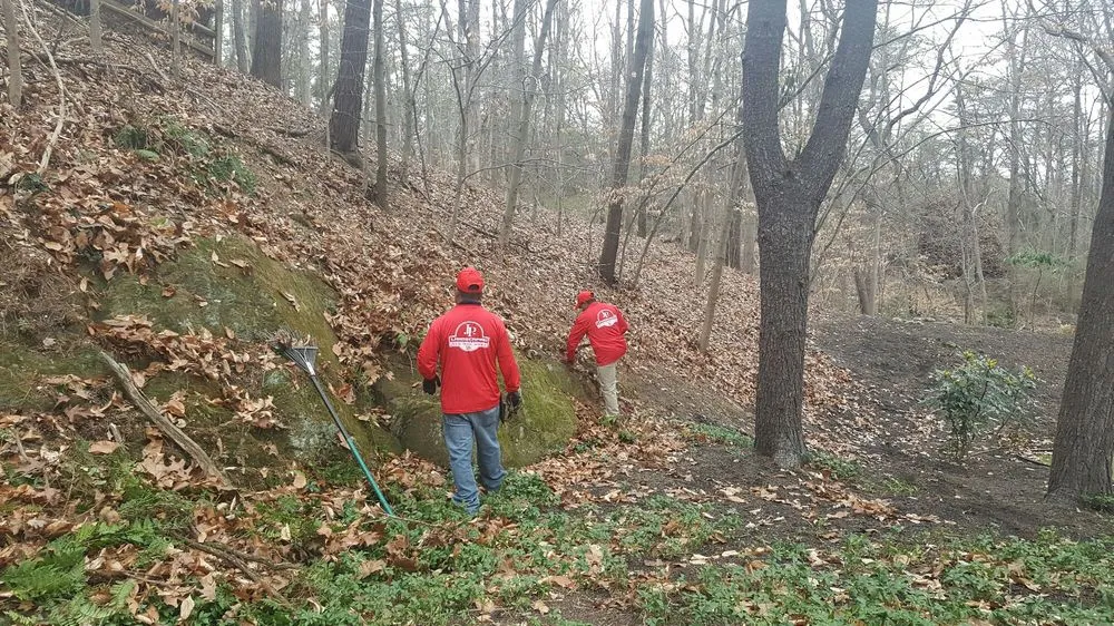 Affordable landscape design in Lutherville-Timonium, MD - JP MD Landscaping