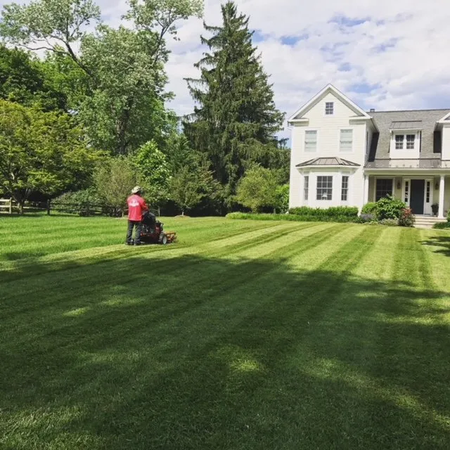 Professional landscape installation for residential properties across Lutherville-Timonium, MD - JP MD Landscaping