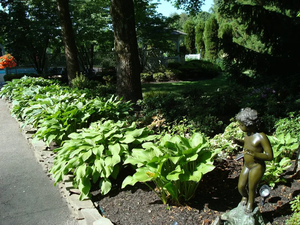 Expert lawn mowing service for residential properties across Owings Mills, MD - JP MD Landscaping