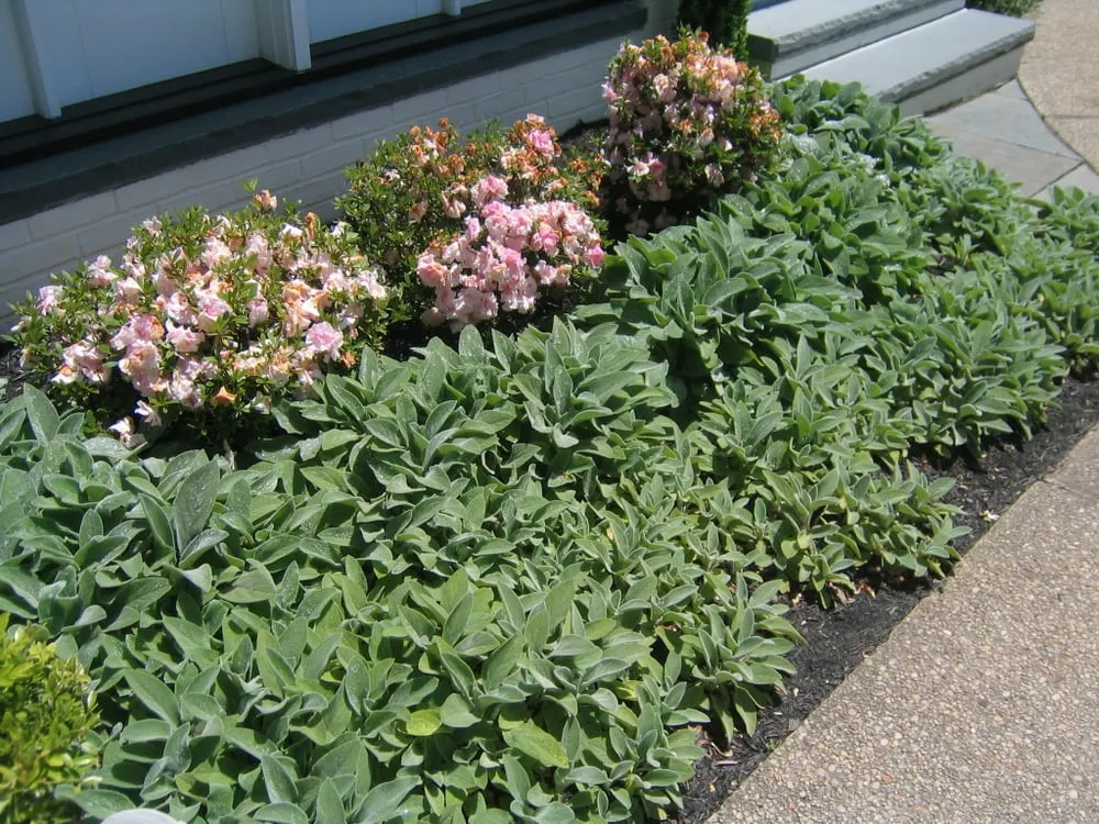 Professional garden landscaping experts serving Owings Mills, MD - JP MD Landscaping