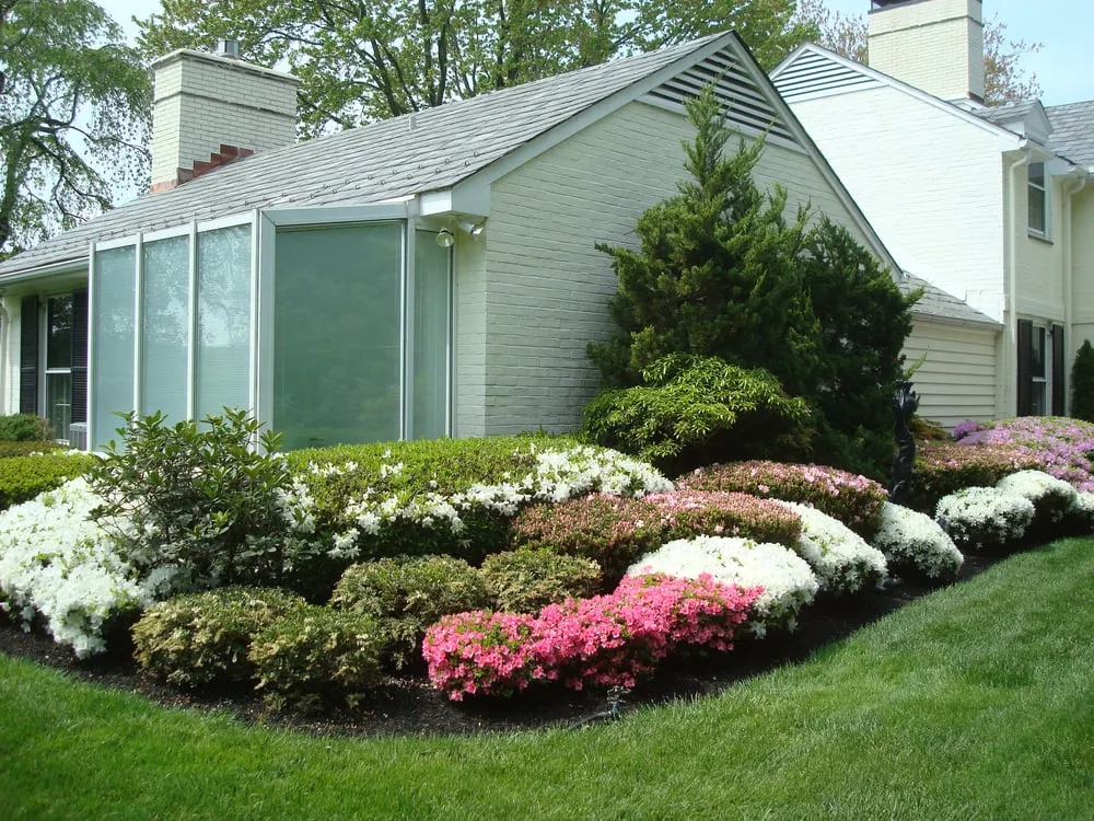 Professional yard cleanup service experts serving Owings Mills, MD - JP MD Landscaping