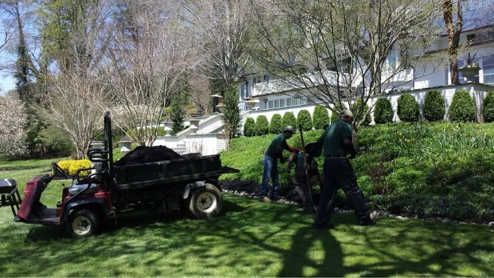 Expert yard cleanup service in Owings Mills, MD by JP MD Landscaping