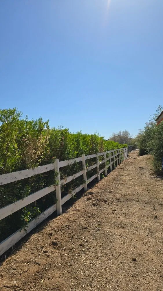 Custom garden landscaping with custom design across Scottsdale, AZ - J&P Mendoza Landscaping