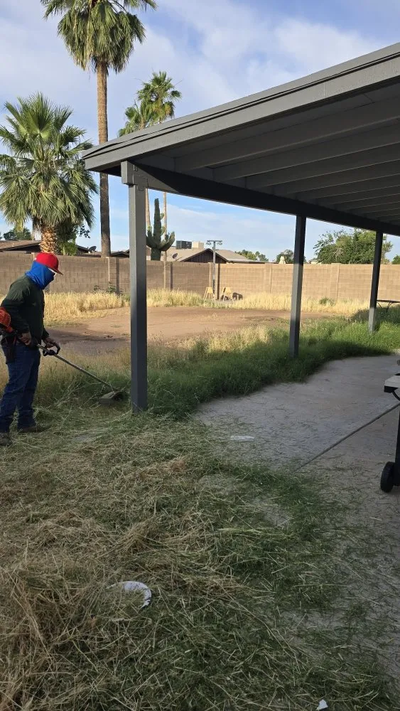 Local landscape design near you across Scottsdale, AZ - J&P Mendoza Landscaping