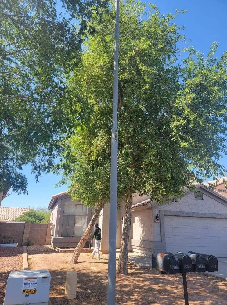 Custom outdoor landscaping in Scottsdale, AZ by J&P Mendoza Landscaping