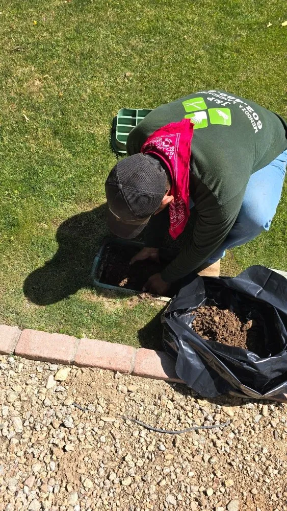 Affordable garden landscaping for outdoor upgrades in Scottsdale, AZ by J&P Mendoza Landscaping