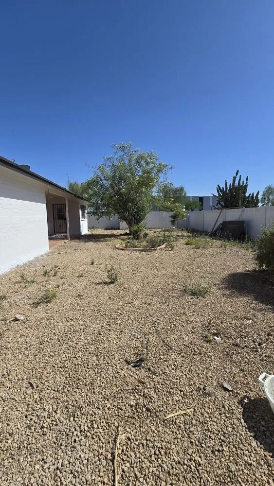 Trusted residential landscaping for homes across Scottsdale, AZ - J&P Mendoza Landscaping