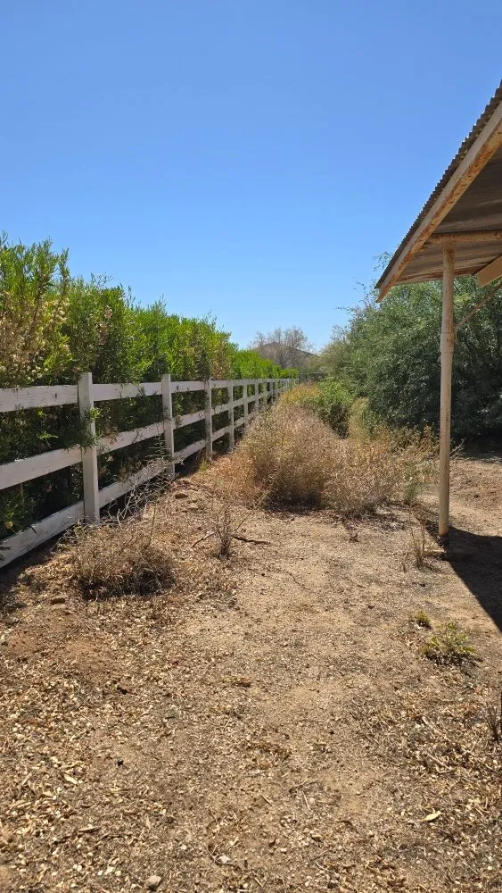 Custom landscape design in Scottsdale, AZ by J&P Mendoza Landscaping