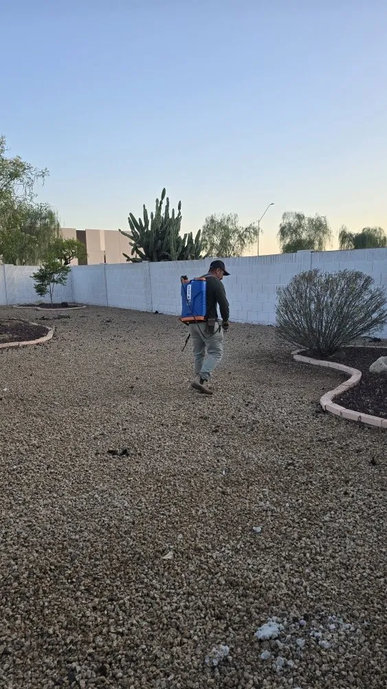 Top-rated yard maintenance in Scottsdale, AZ - J&P Mendoza Landscaping