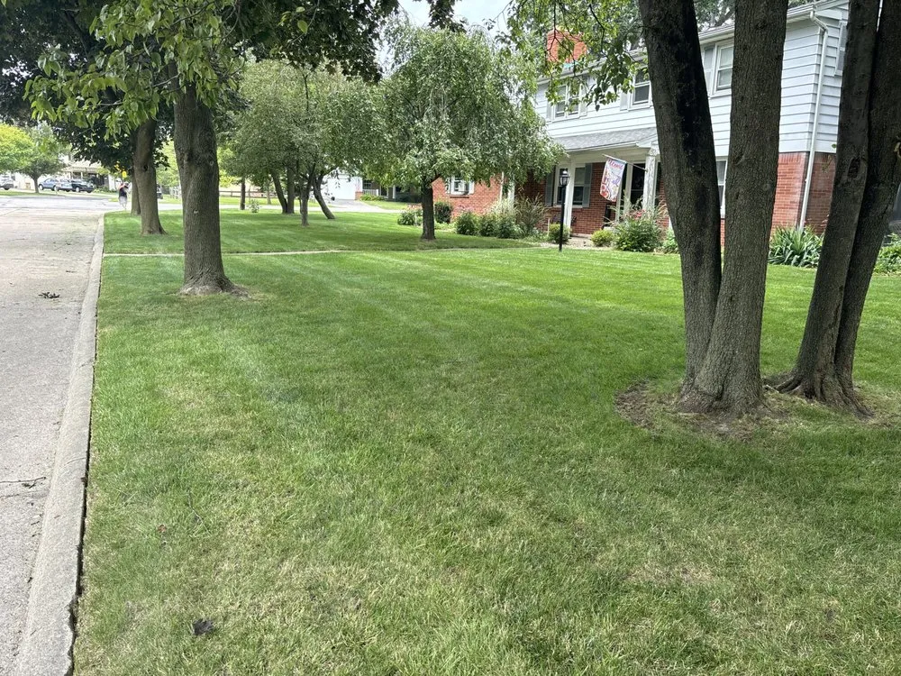 Expert yard maintenance for year-round maintenance across Toledo, OH - JP Mowing