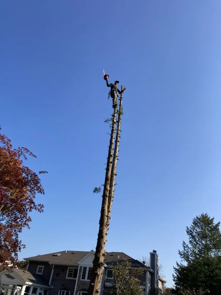 Top-rated landscape design near you in Brentwood, NY by JP Paradise Landscaping