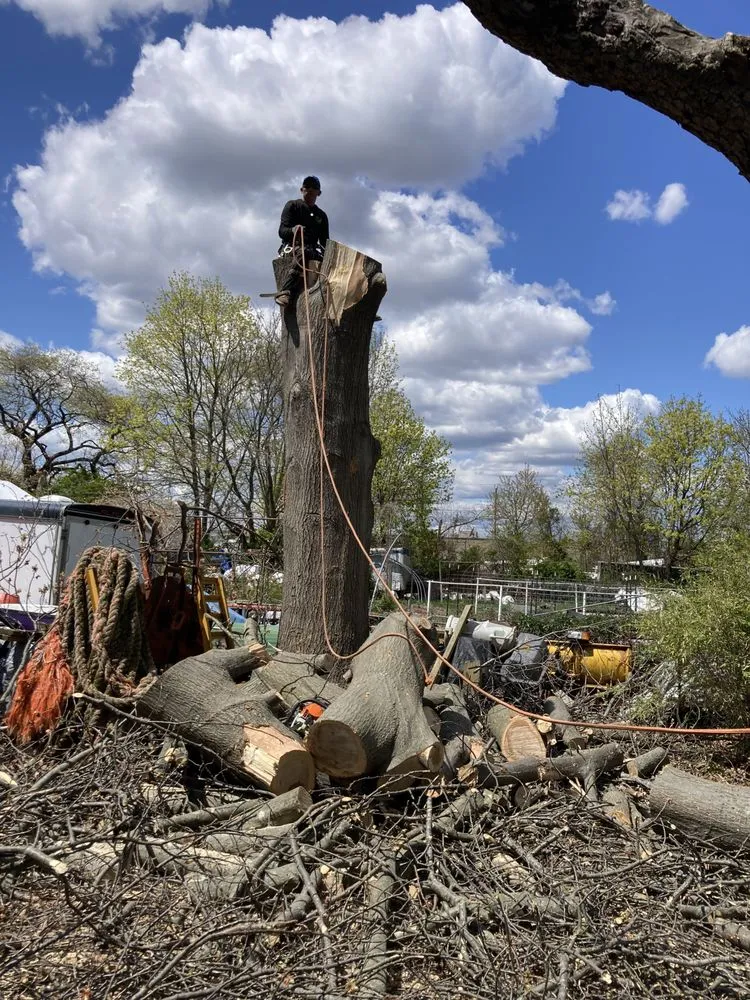 Reliable yard cleanup service for homes across Brentwood, NY - JP Paradise Landscaping