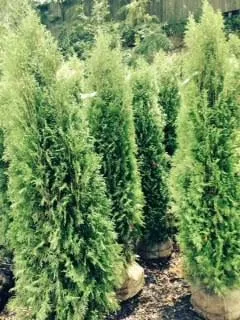 Reliable garden landscaping for homes across Fairfield, CT - JP Philbin Landscapes & Nursery