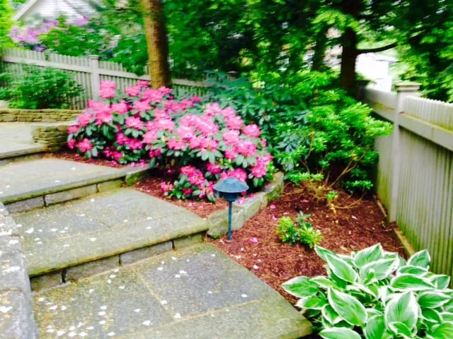 Affordable landscape installation in Fairfield, CT - JP Philbin Landscapes & Nursery