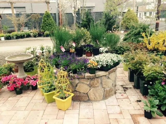 Professional landscaping services for homes in Fairfield, CT by JP Philbin Landscapes & Nursery