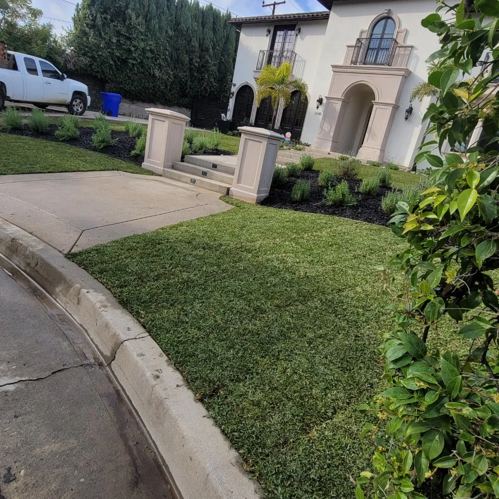 Top-rated residential landscaping in Monrovia, CA - JP Rivera Garden & Lawn service