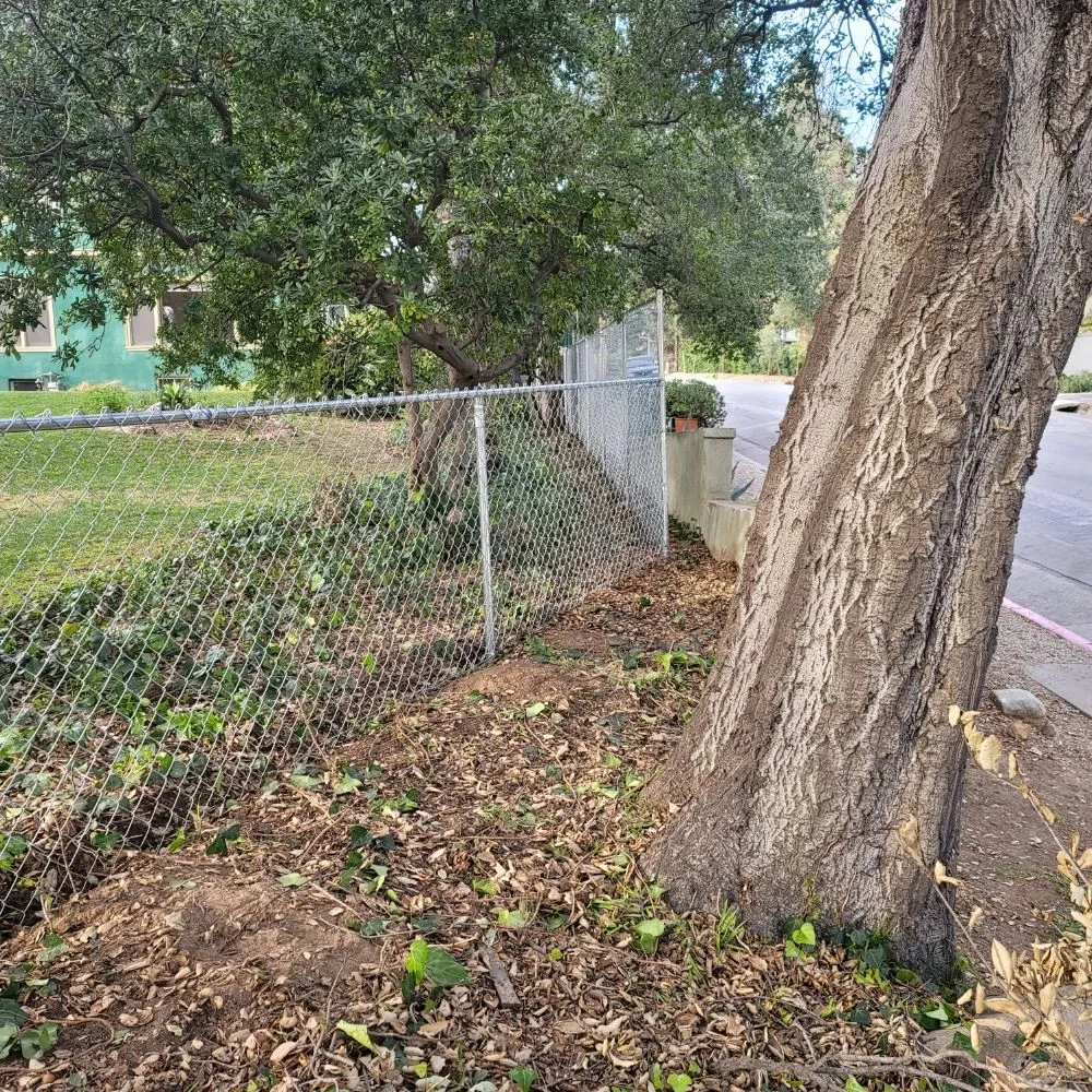 Affordable yard cleanup service in Monrovia, CA - JP Rivera Garden & Lawn service