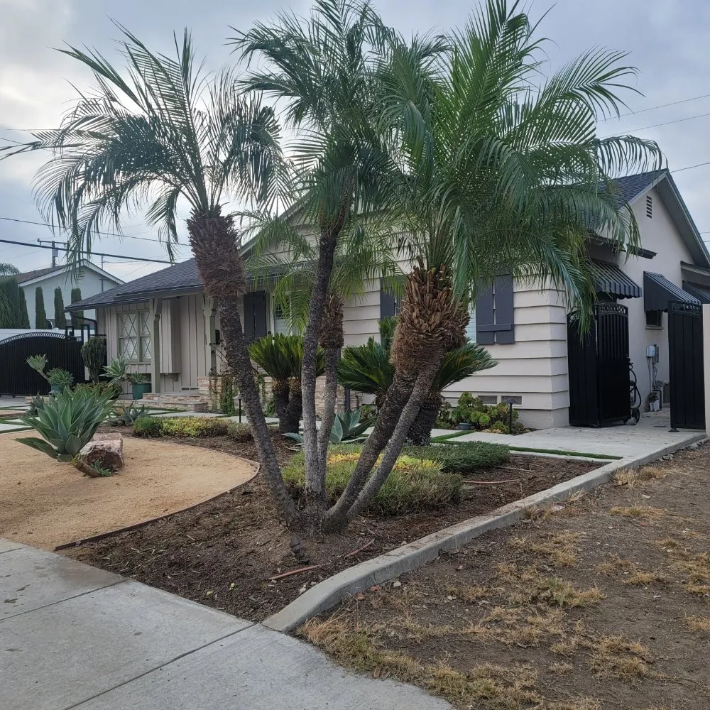 Affordable landscape installation in Monrovia, CA - JP Rivera Garden & Lawn service