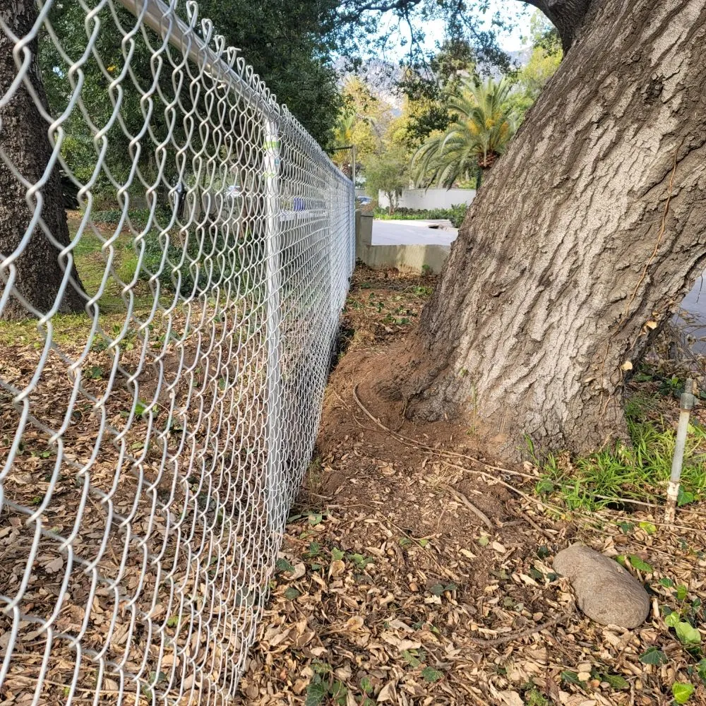 Professional lawn care service in Monrovia, CA - JP Rivera Garden & Lawn service