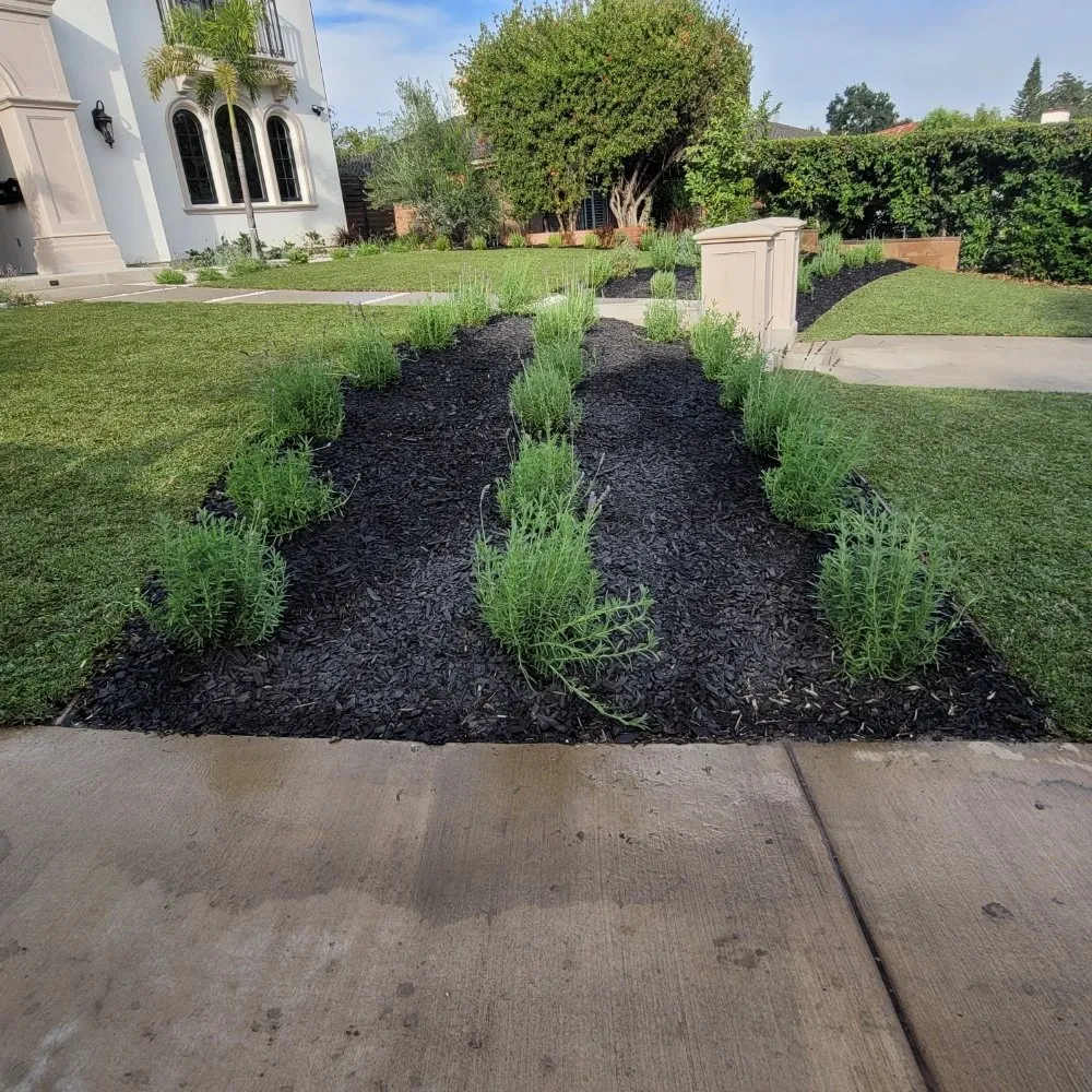 Professional landscape design for homes in Monrovia, CA by JP Rivera Garden & Lawn service
