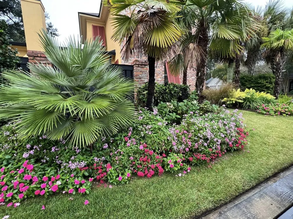 Trusted outdoor landscaping for year-round maintenance in Youngsville, LA by JP Scapes