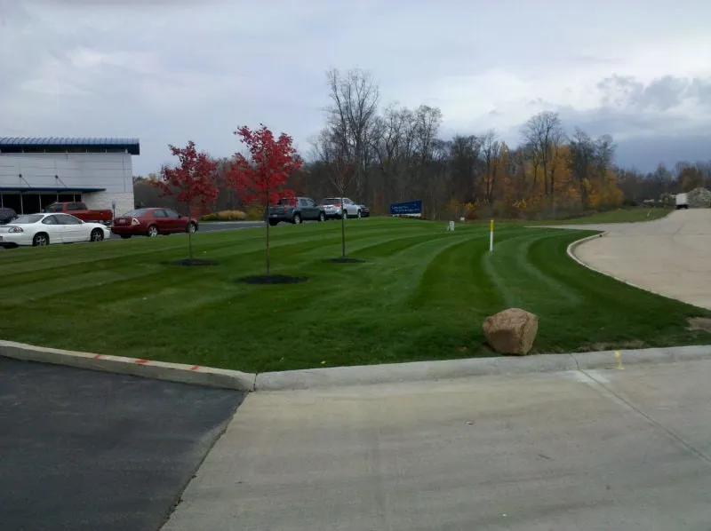 Top-rated landscaping services for beautiful yards across Medina, OH - JP Services