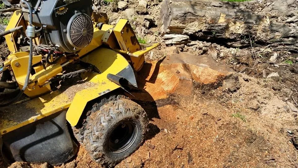 Professional yard maintenance experts serving Medina, OH - JP Services