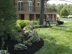 Expert yard maintenance near you in Medina, OH by JP Services