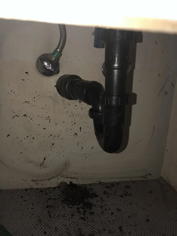 Custom yard maintenance experts serving North Highlands, CA - JP Sprinkler Repair