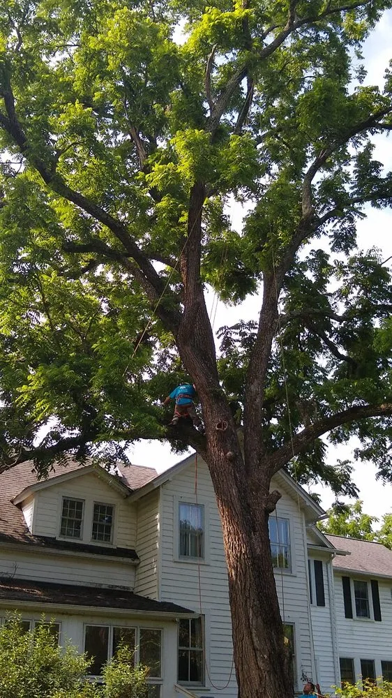 Custom landscape installation in Roanoke, VA by JP Tree & Landscaping