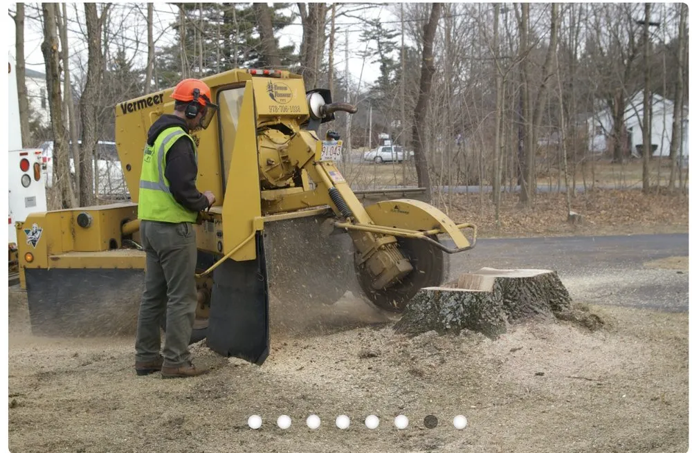 Affordable yard maintenance experts serving Roanoke, VA - JP Tree & Landscaping