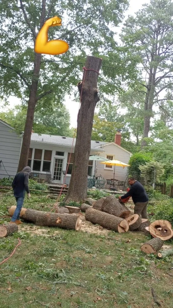 Local lawn mowing service experts serving Roanoke, VA - JP Tree & Landscaping