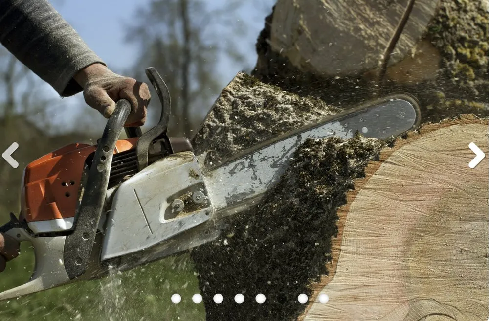 Custom outdoor landscaping for outdoor upgrades in Roanoke, VA by JP Tree & Landscaping