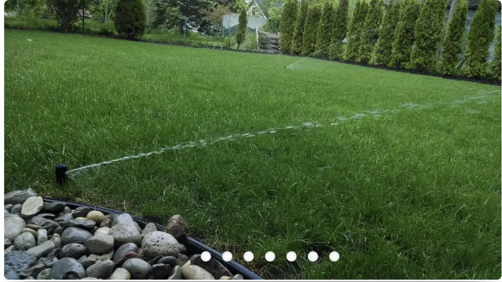 Reliable lawn care service experts serving Roanoke, VA - JP Tree & Landscaping