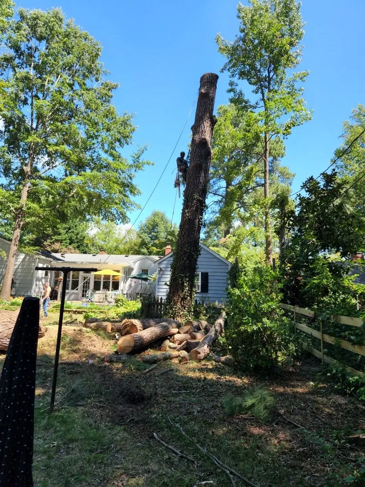 Local outdoor landscaping experts serving Roanoke, VA - JP Tree & Landscaping