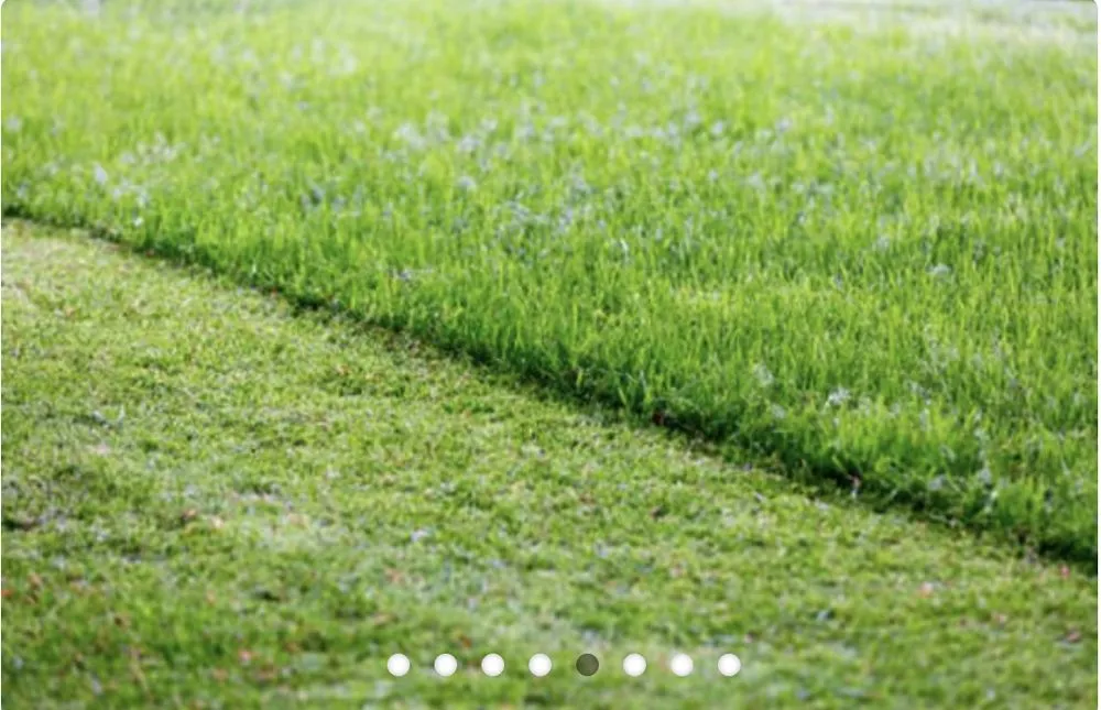 Top-rated landscape design for outdoor upgrades in Roanoke, VA by JP Tree & Landscaping