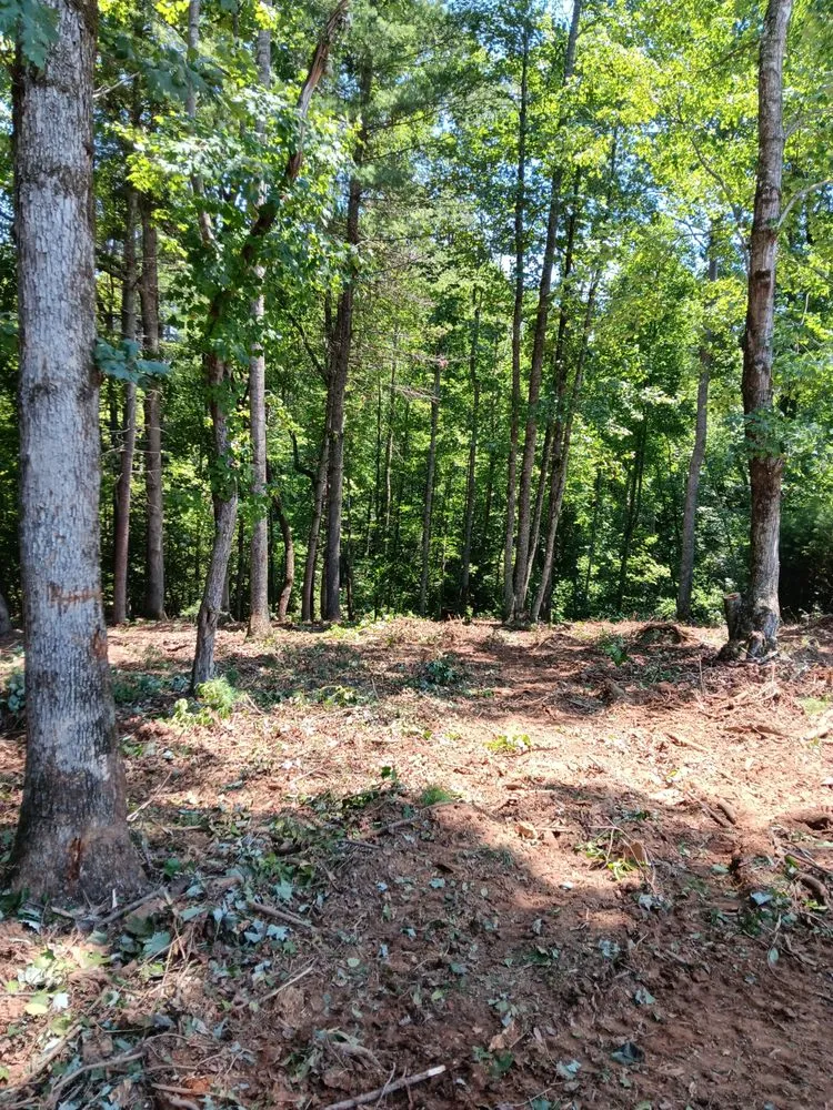 Trusted residential landscaping for beautiful yards in Wilkesboro, NC by J&P Tree And Property Maintenance