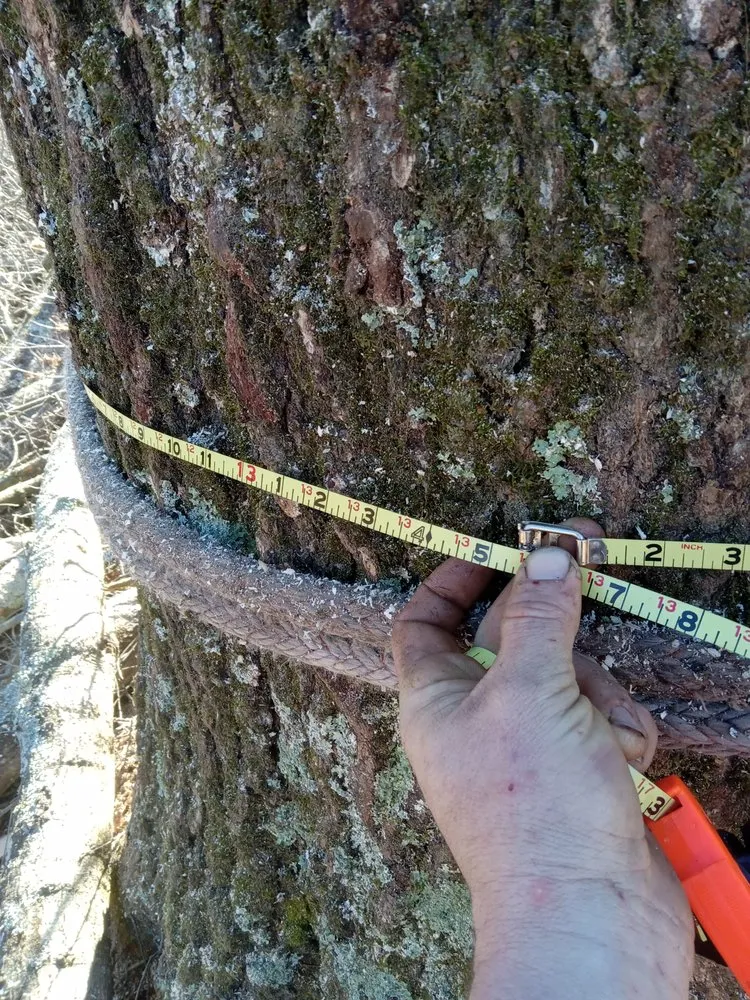 Top-rated outdoor landscaping for beautiful yards across Wilkesboro, NC - J&P Tree And Property Maintenance