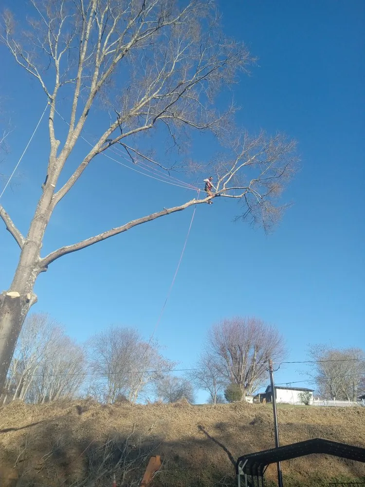 Top-rated landscape design in Wilkesboro, NC by J&P Tree And Property Maintenance