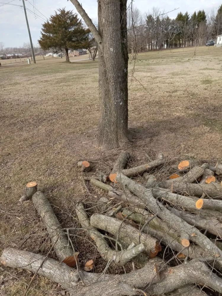 Top-rated landscape design for homes across Wilkesboro, NC - J&P Tree And Property Maintenance